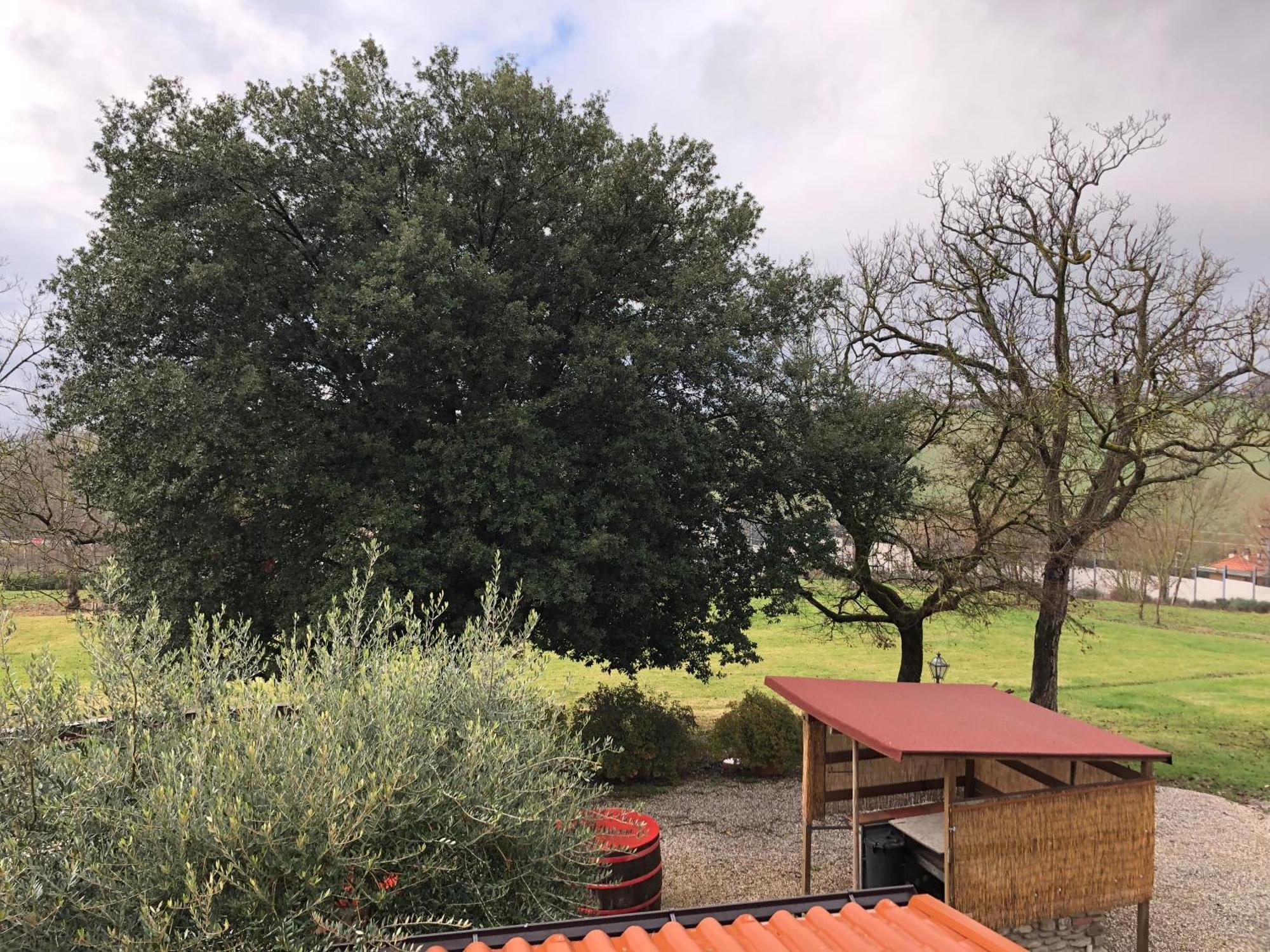Poggio Savelli Konuk evi Scarperia Dış mekan fotoğraf